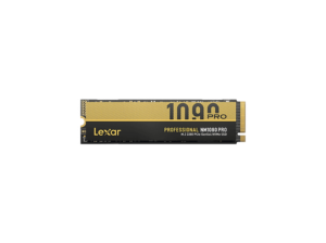 Lexar 1TB M.2 PCIe Gen5 NVMe NM1090 PRO LNM109P001T-RNNNG